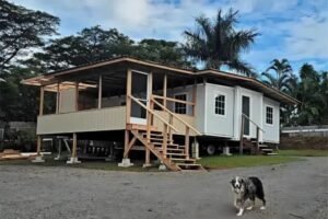 Read more about the article Container House Applications: From Disaster Relief to Viral Cafés