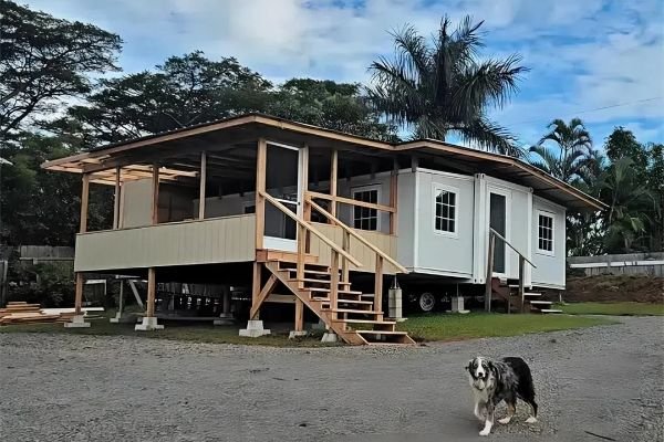 Read more about the article Container House Applications: From Disaster Relief to Viral Cafés